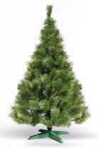 Bor - Zelena Novogodišnja Jelka 180 Cm
